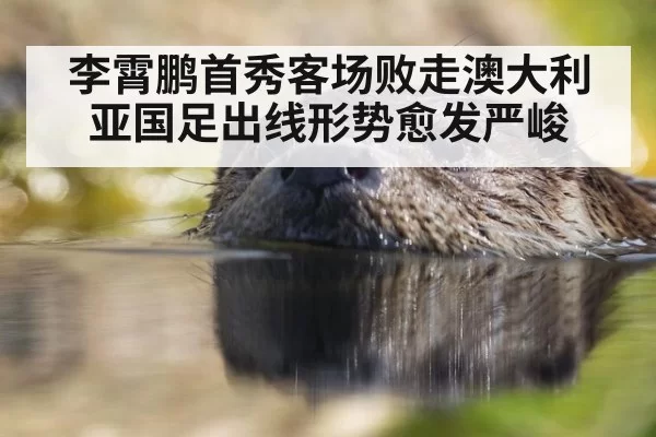 李霄鹏首秀客场败走澳大利亚国足出线形势愈发严峻